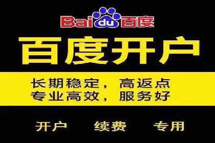 百度竞价广告成功案例：如何实现ROI最大化